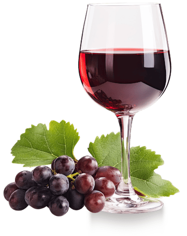 glass of red wine with grapes