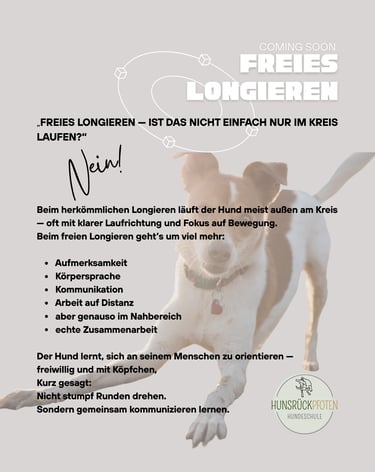 Poster zum Hundetraining ‚Freies Longieren‘ mit Jack Russell Terrier und Hunsrückpfoten-Logo