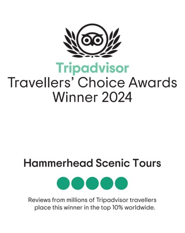 2024 TripAdvisor-Travellers'Choice Award Winner 2024