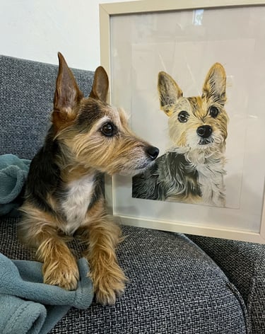 A small Yorkshire terrier mix dog sitting on a couch next to its framed custom dog portrait.