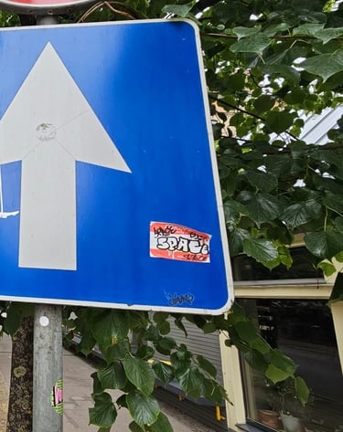 a street sign with a no parking sign on it