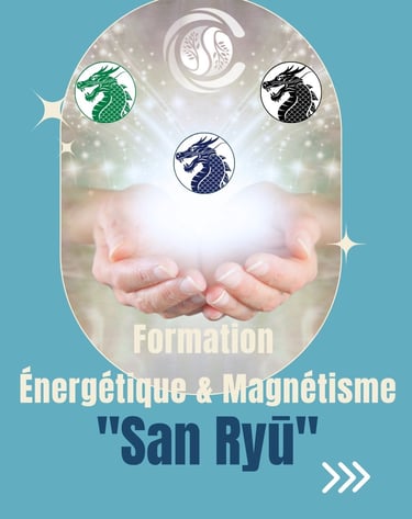 presentation formation magnetisme et energetique, nantes, programme San Ryu