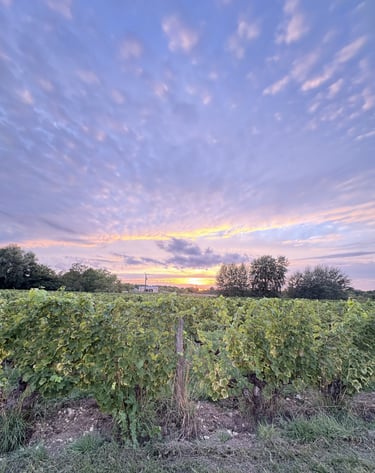 Closerie de chanteloup vignes Amboise 2025