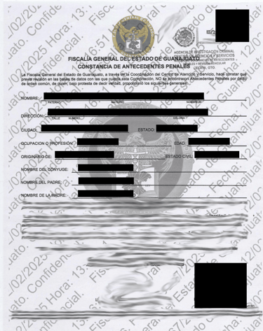 Official police character certificate translated by Lang Lumin services