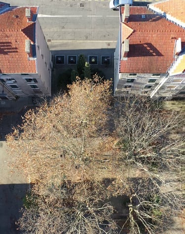 Cité Abbaye Grenoble vue du ciel