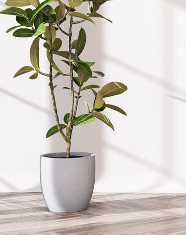 Référencement gratuit bois de chauffage