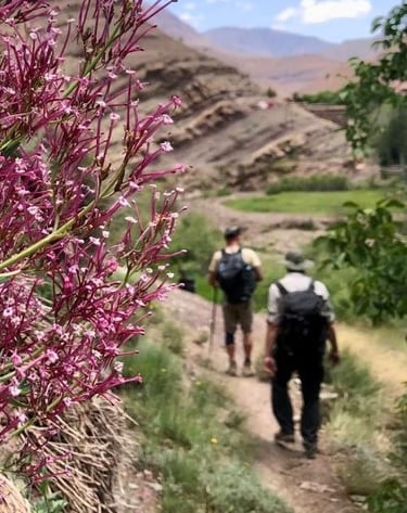 Randonneurs chemin Haut Atlas