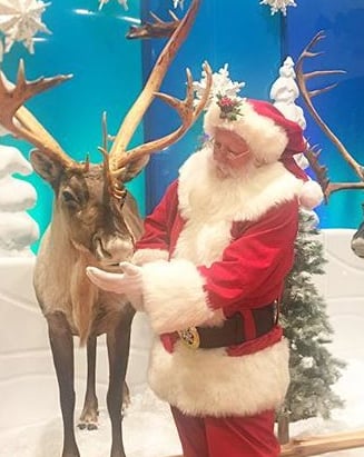 High Sierra Santa with a reindeer