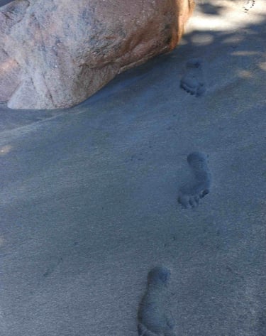 Footstep in the sand