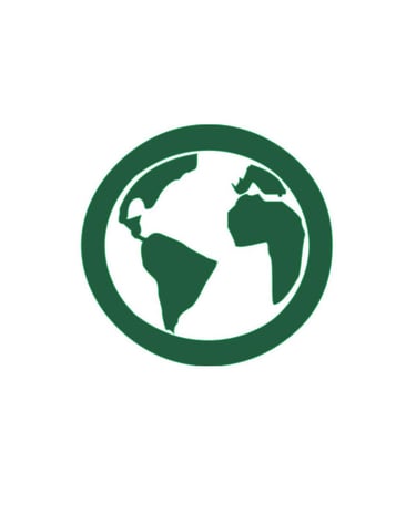 Icon for King Fly's proven global supply chain capabilities.