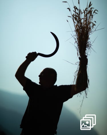 a man holding a large piece of hay with a knife in his hand