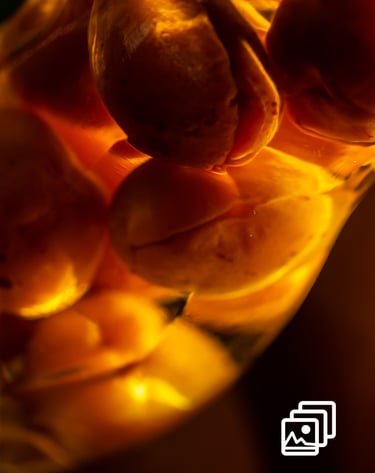 pears in a bottle of booze