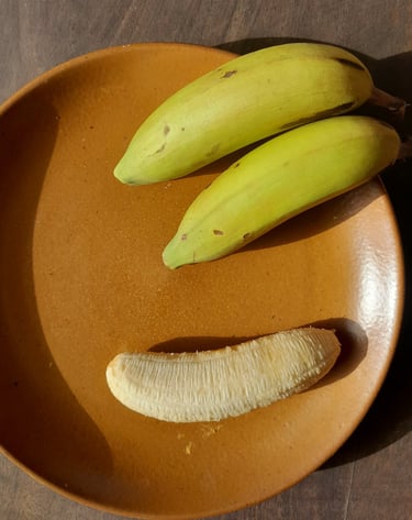 Banane gros plan