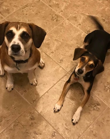 Brandy and Jojo