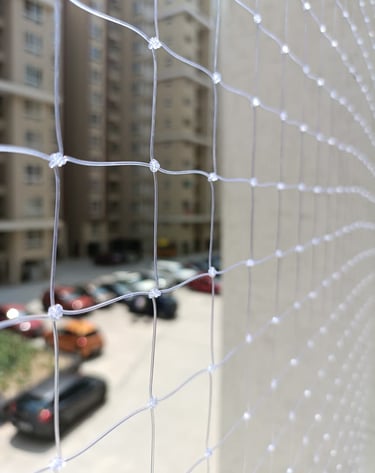 Detailed view of pigeon netting protecting a window in Sadashivanagar.