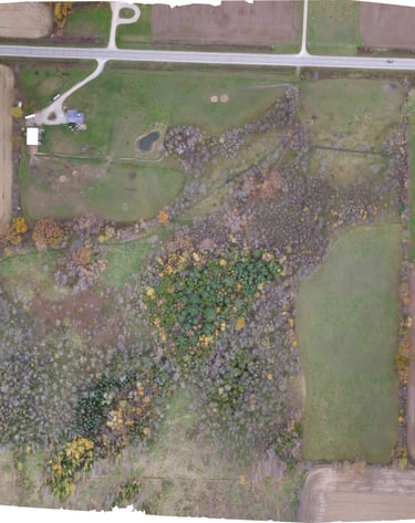 Orthographic Map of a Property