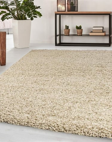 Modern Rugs Living Room