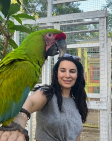 perico
