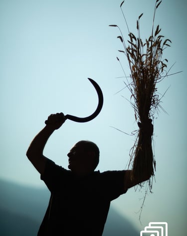 a man holding a large piece of hay with a knife in his hand