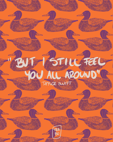 Un patrón de un pato ilustrado por mi