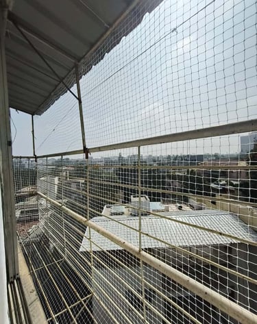 best safety Nets in bangalore