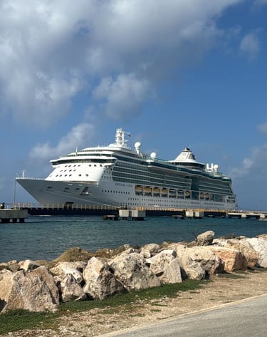 Travelers disembarking cruise ship – client story