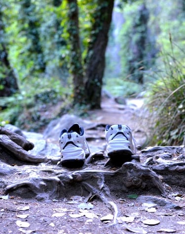 a pair of shoes that are on a trail in Platres