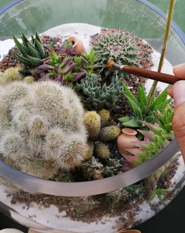 a person holding a small glass bowl filled with plants