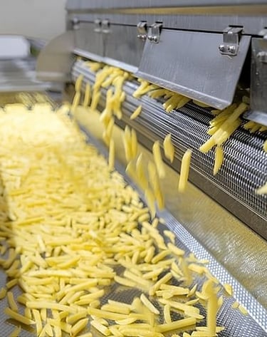 frozen french fries under processing in the factory