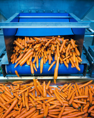a bunch of carrots being put together in a machine