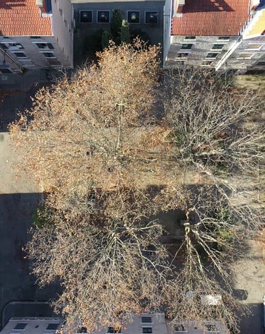 Cité Abbaye Grenoble vue du ciel