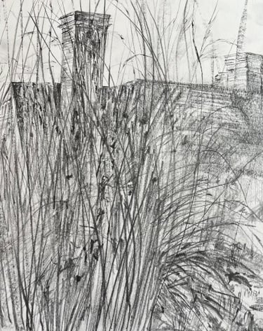 A3 Dixter diary sketchbook: 26th January grasses
