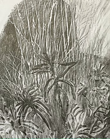 Graphite imprint of the Peacock Garden 