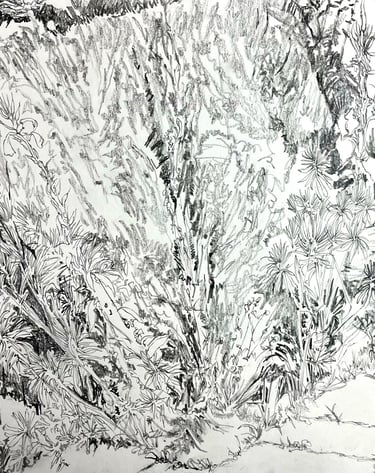 Peacock Garden study