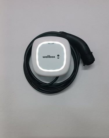 Cargador Wall box pulsar max pared