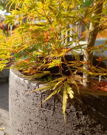 Zoomed picture of a clay pot