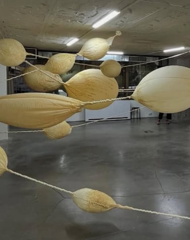 instagram seçkisi #istanbulbienali2025
