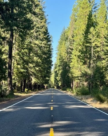The road to wholeness is a journey. Let me show you the map.