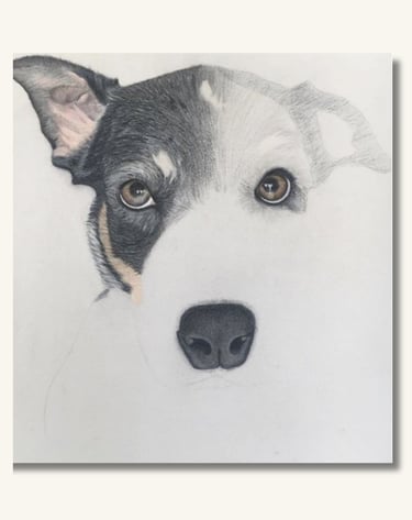 Hand-drawn pet portrait of a dog created using professional soft pastels.