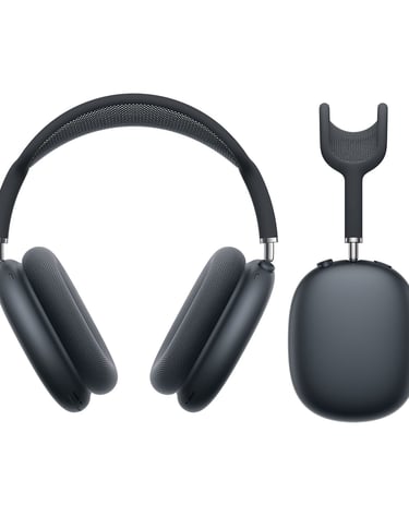 a pair of headphones with a microphone and a headphone