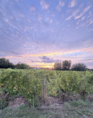 Closerie de chanteloup vignes Amboise 2025