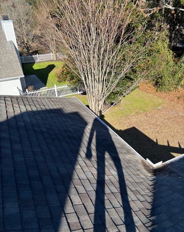 a roof with a trees below