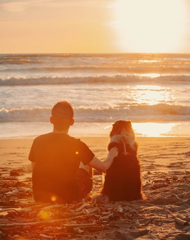 un ragazzo e il suo cane guardano il tramonto sul mare