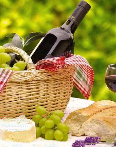 Viniculas do Douro