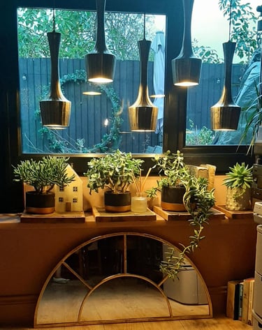 Potted jade plants on a windowsill illuminated by modern hanging pendant lights in a cozy interior.