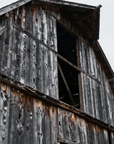 Close-up of weathered wooden textures on an old North American / US barn. The photography is sharp and detailed, emphasizing the artistic merit of decay and history. Colors include deep charcoal and soft silver-grey, lit by flat, overcast natural light.