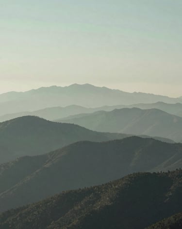 A vertical photograph capturing the layers of a North American mountain range fading into the distance under a foggy sky. Muted tones of sage green and dark slate. Serene and sophisticated minimalist composition.