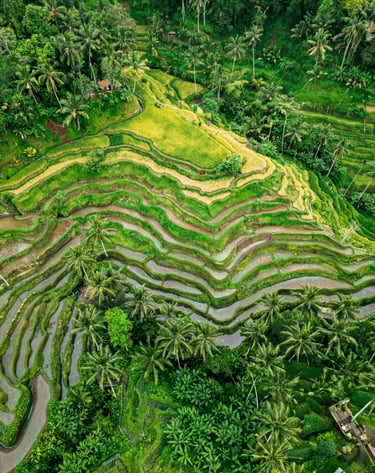 Photo by <a href="https://unsplash.com/@evgeniirychkin?utm_source=unsplash&utm_medium=referral&utm_c