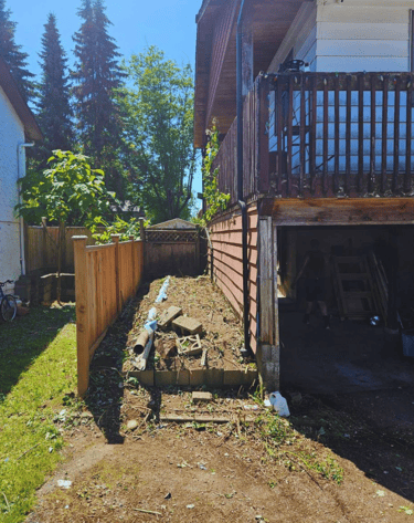 After we removed blackberry bushes