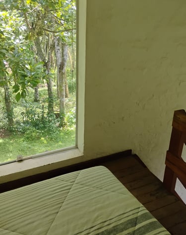 As abertura te conectam com a mata